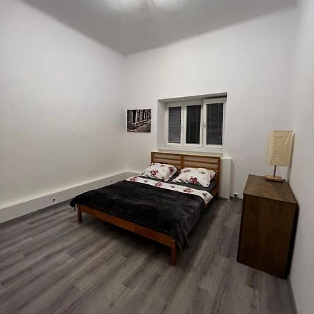 Mlynsky Ostrov Apartment 2 Zdice Экстерьер фото