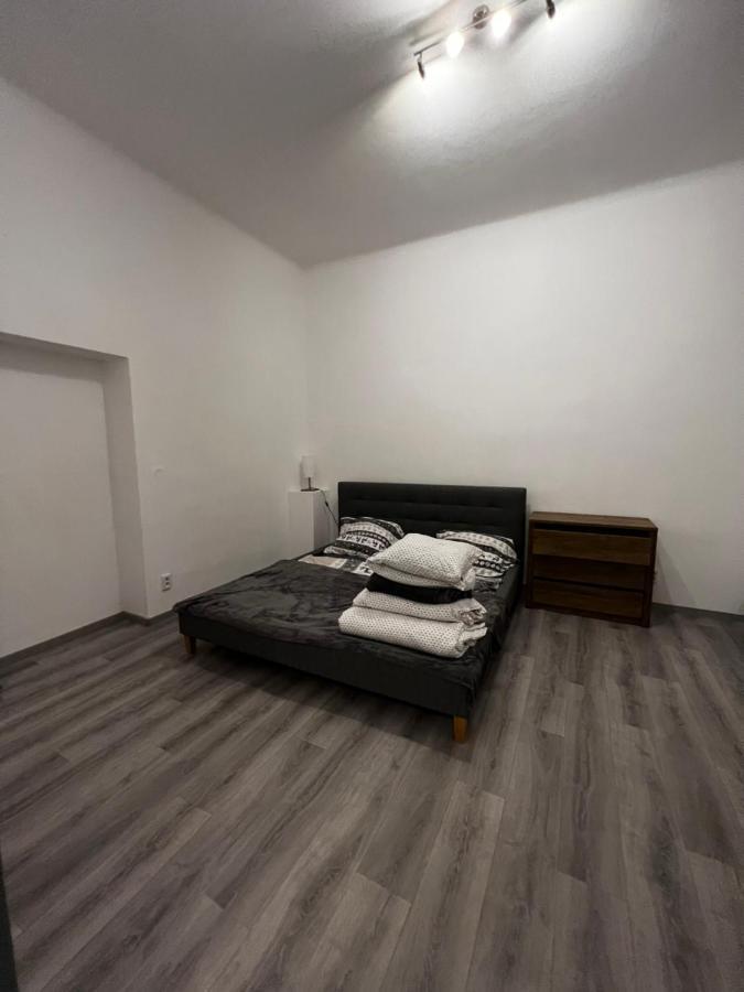 Mlynsky Ostrov Apartment 2 Zdice Экстерьер фото