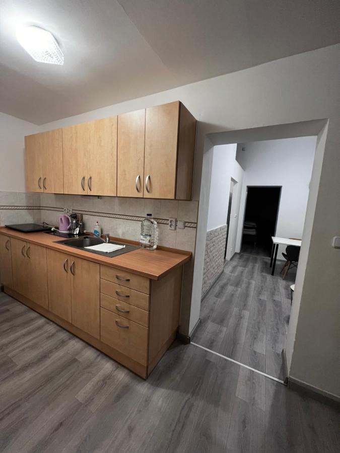 Mlynsky Ostrov Apartment 2 Zdice Экстерьер фото